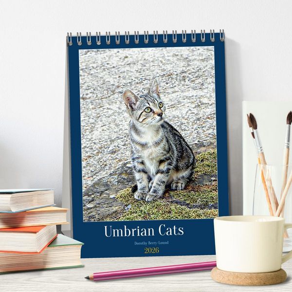 Produktbild: Umbrian Cats (Desk Calendar 2026 DIN A5 portrait), CALVENDO 12 Month DeskCalendar