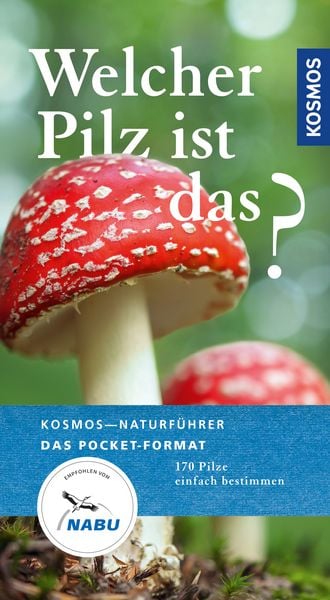 Produktbild: Welcher Pilz ist das?
