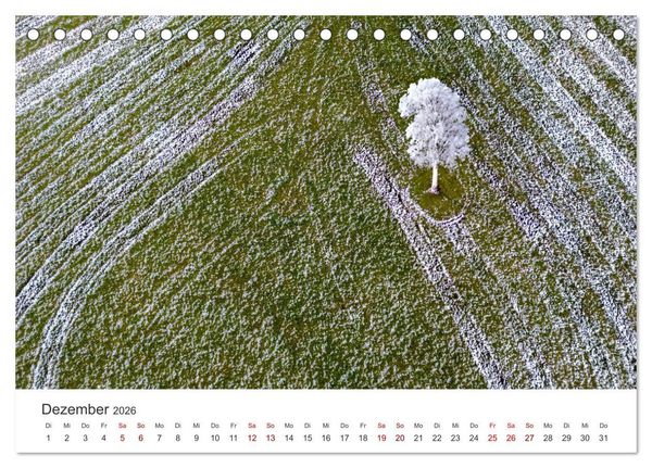 Produktbild: B&auml;ume - Gelebtes Leben (Tischkalender 2026 DIN A5 quer), CALVENDO Monatskalender