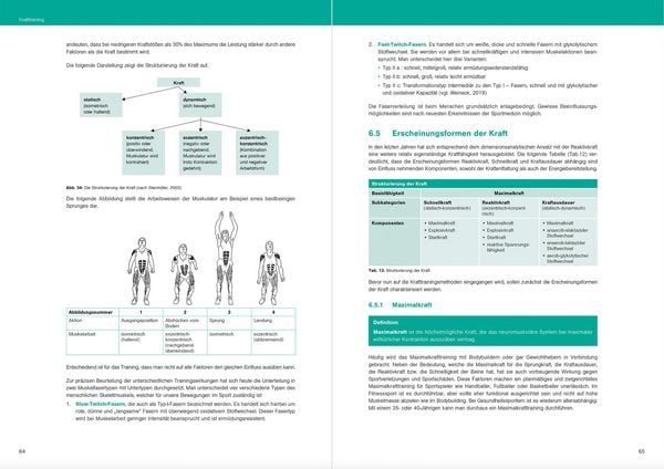 Produktbild: Optimales Basiswissen Sport