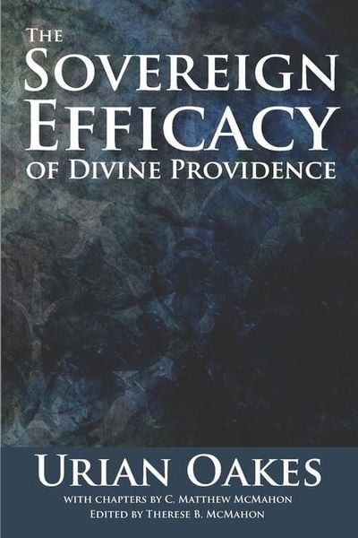 Produktbild: The Sovereign Efficacy of Divine Providence