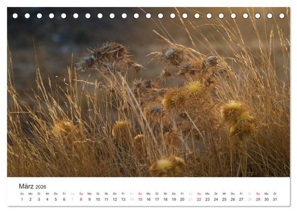 Produktbild: Kreta. Im S&uuml;den (Tischkalender 2026 DIN A5 quer), CALVENDO Monatskalender