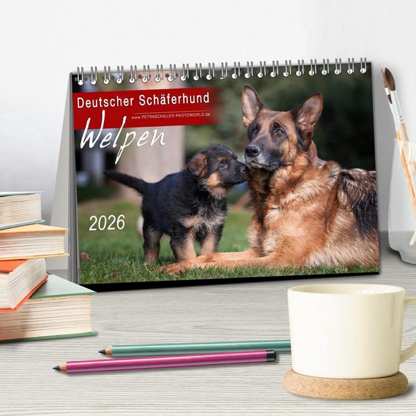 Produktbild: Deutscher Sch&auml;ferhund - Welpen / CH-Version (Tischkalender 2026 DIN A5 quer), CALVENDO Monatskalender