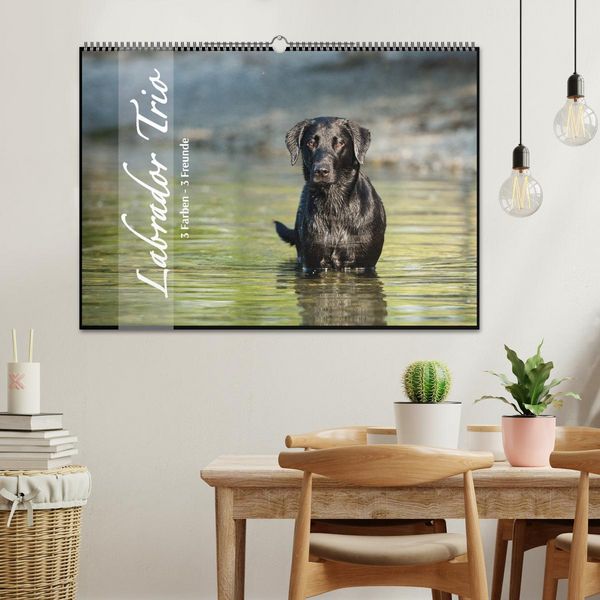 Produktbild: Labrador Trio - 3 Farben, 3 Freunde (Wandkalender 2026 DIN A2 quer), CALVENDO Monatskalender