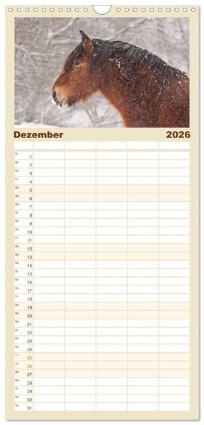 Produktbild: Familienplaner 2026 - Kaltblut - schwere Pferde mit Herz mit 5 Spalten (Wandkalender, 21 x 45 cm) CALVENDO
