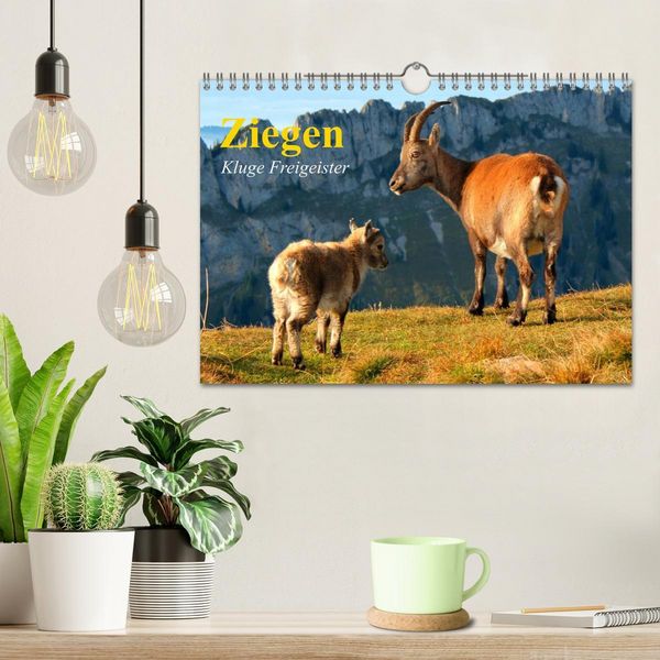Produktbild: Ziegen. Kluge Freigeister (Wandkalender 2026 DIN A4 quer), CALVENDO Monatskalender