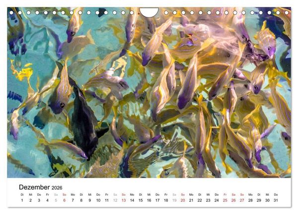 Produktbild: Unterwasserwelt der Malediven II (Wandkalender 2026 DIN A4 quer), CALVENDO Monatskalender