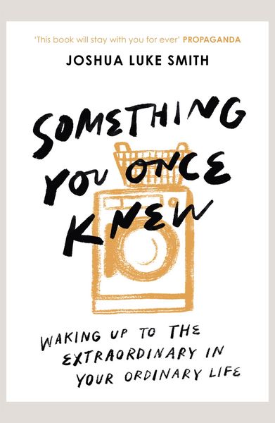 Produktbild: Something You Once Knew