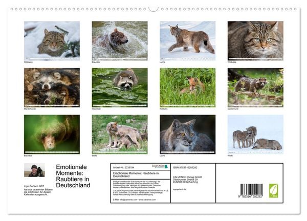 Produktbild: Emotionale Momente: Raubtiere in Deutschland (hochwertiger Premium Wandkalender 2026 DIN A2 quer), Kunstdruck in Hochglanz