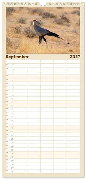 Produktbild: Familienplaner 2027 - Facetten Namibias mit 5 Spalten (Wandkalender, 21 x 45 cm) CALVENDO