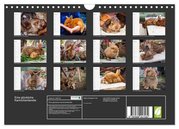 Produktbild: Eine gl&uuml;ckliche Kaninchenfamilie (Wandkalender 2027 DIN A4 quer), CALVENDO Monatskalender