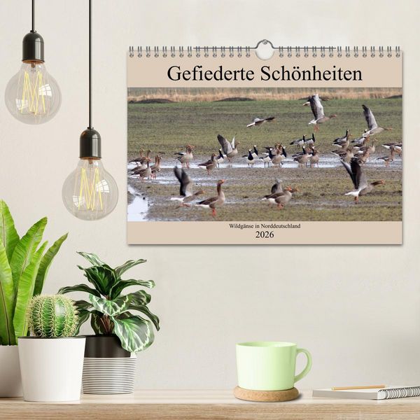 Produktbild: Gefiederte Sch&ouml;nheiten - Wildg&auml;nse in Norddeutschland (Wandkalender 2026 DIN A4 quer), CALVENDO Monatskalender