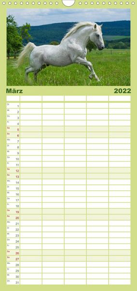 Produktbild: Welt der Pferde - Familienplaner hoch (Wandkalender 2022 , 21 cm x 45 cm, hoch)