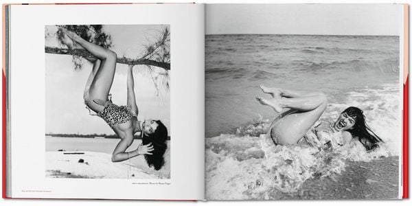 Produktbild: The Big Book of Legs