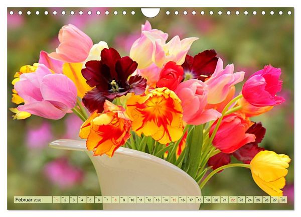 Produktbild: Tulpen. Zauberhafte Bl&uuml;tenpracht (Wandkalender 2026 DIN A4 quer), CALVENDO Monatskalender