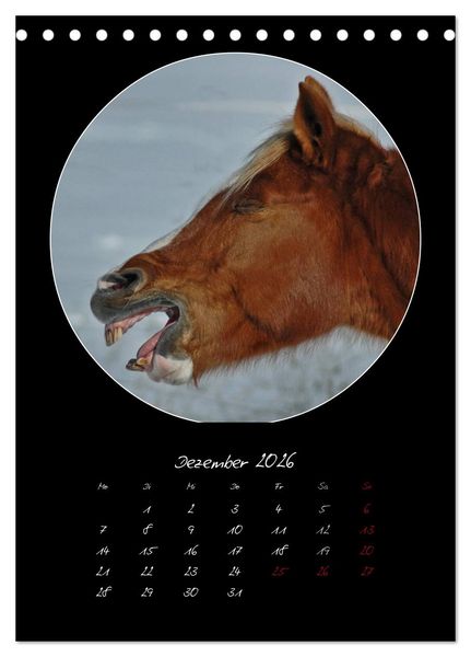 Produktbild: Crazy horses (Tischkalender 2026 DIN A5 hoch), CALVENDO Monatskalender