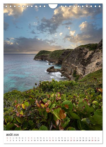 Produktbild: Guadeloupe - Un r&ecirc;ve carib&eacute;en (Calendrier mural 2026 DIN A4 horizontal), CALVENDO calendrier mensuel