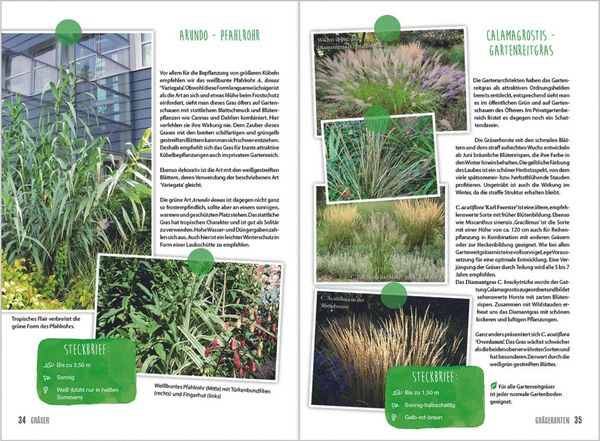 Produktbild: MDR Garten - Gr&auml;ser