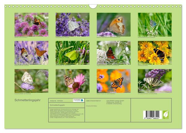 Produktbild: Schmetterlingsjahr (Wandkalender 2026 DIN A3 quer), CALVENDO Monatskalender