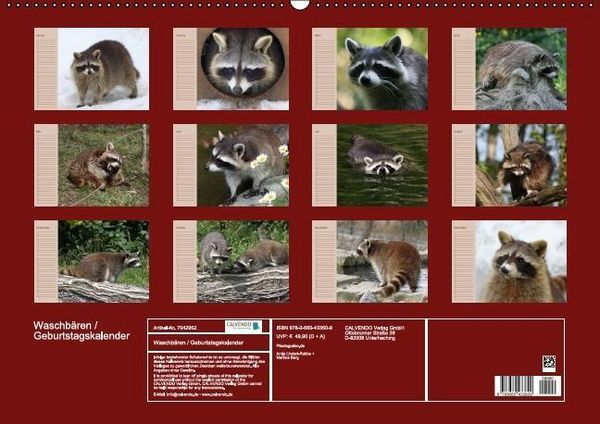 Produktbild: Waschb&auml;ren / Geburtstagskalender (Wandkalender immerw&auml;hrend DIN A2 quer)