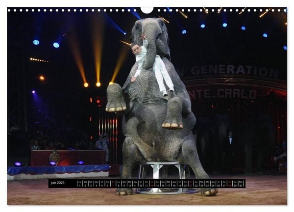 Produktbild: Les cadets du cirque &agrave; Monaco (Calendrier mural 2026 DIN A3 vertical), CALVENDO calendrier mensuel