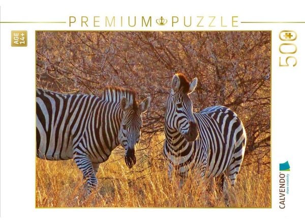 CALVENDO Puzzle Zebras im Morgenlicht - morgendliche Safai | 500 Teile Lege-Größe 48 × 36 cm Foto-Puzzle für Erwachsene