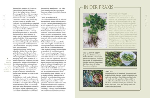 Produktbild: Die "Unkr&auml;uter" in meinem Garten