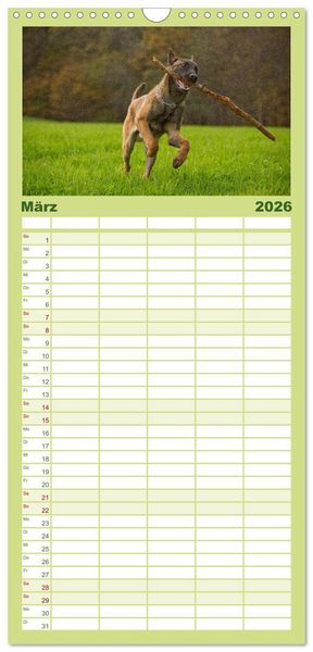 Produktbild: Familienplaner 2026 - Faszination Hund mit 5 Spalten (Wandkalender, 21 x 45 cm) CALVENDO