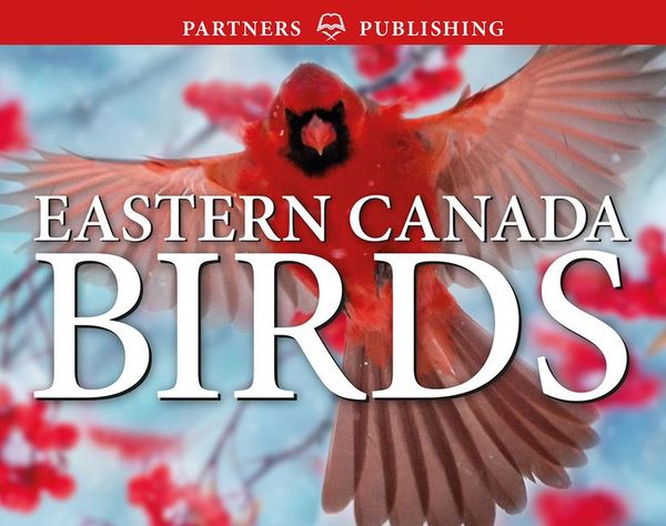 Produktbild: Eastern Canada Birds
