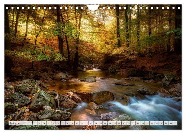 Produktbild: Wald - mystische Spazierg&auml;nge (Wandkalender 2026 DIN A4 quer), CALVENDO Monatskalender