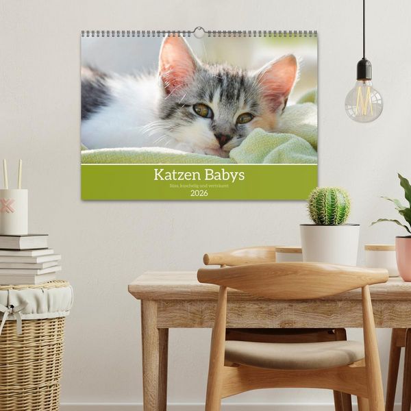 Produktbild: Katzenbabys (Wandkalender 2026 DIN A3 quer), CALVENDO Monatskalender