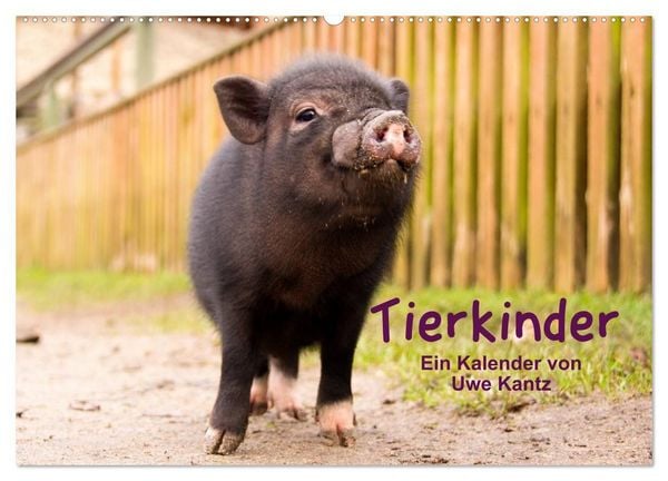 Produktbild: Tierkinder (Wandkalender 2027 DIN A2 quer), CALVENDO Monatskalender