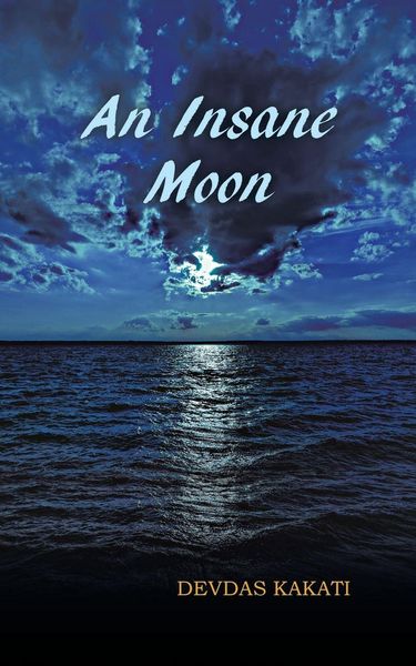 Produktbild: An Insane Moon