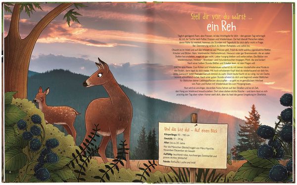 Produktbild: Stell dir vor, du wärst...ein Tier im Wald