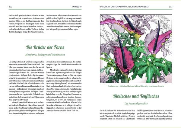 Produktbild: Von fiesen Schädlingen, duftenden Kräutern und üppigen Blumen