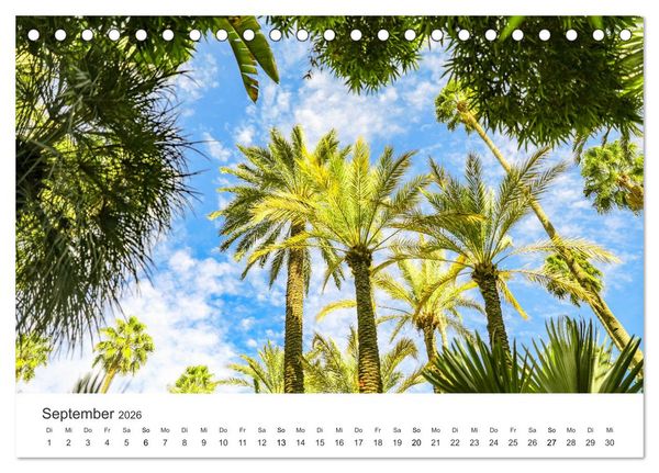 Produktbild: Das farbenfrohe Marokko (Tischkalender 2026 DIN A5 quer), CALVENDO Monatskalender