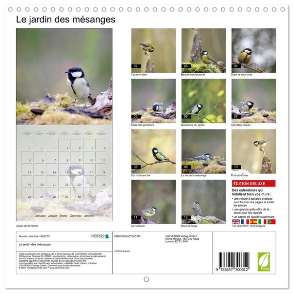 Produktbild: Le jardin des m&eacute;sanges (Calendrier mural carr&eacute; 2026 30x30 cm) Calendrier double avec une page pour vos prises de notes