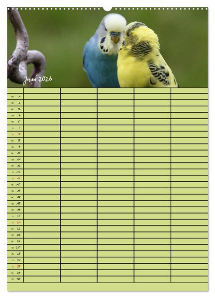 Produktbild: Der Wellensittich-Familienplaner (hochwertiger Premium Wandkalender 2026 DIN A2 hoch), Kunstdruck in Hochglanz