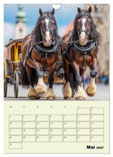 Produktbild: Shire Horse Magie. Englands sanfte Giganten (Wandkalender 2027 DIN A4 hoch), CALVENDO Monatskalender