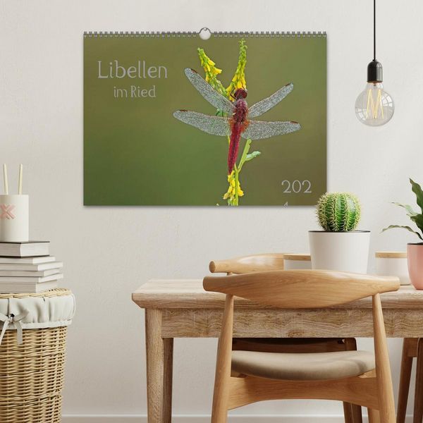 Produktbild: Libellen im Ried (Wandkalender 2026 DIN A3 quer), CALVENDO Monatskalender