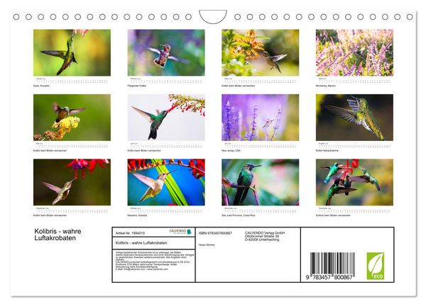 Produktbild: Kolibris - wahre Luftakrobaten (Wandkalender 2026 DIN A4 quer), CALVENDO Monatskalender