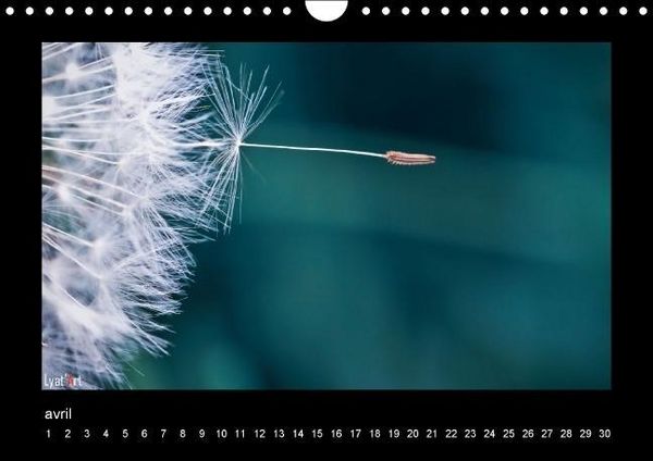 Produktbild: Liatard, A: Fleurs et couleurs (Calendrier mural Calendrier