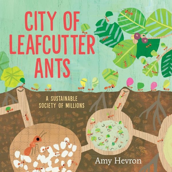 Produktbild: City of Leafcutter Ants