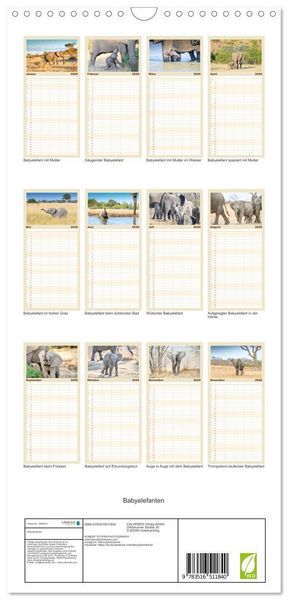 Produktbild: Familienplaner 2026 - Babyelefanten mit 5 Spalten (Wandkalender, 21 x 45 cm) CALVENDO