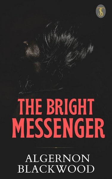 Produktbild: The Bright Messenger