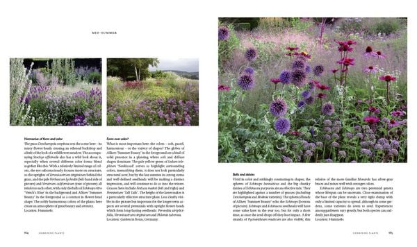 Produktbild: Planting