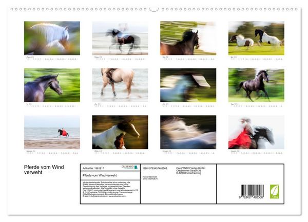 Produktbild: Pferde vom Wind verweht (hochwertiger Premium Wandkalender 2026 DIN A2 quer), Kunstdruck in Hochglanz