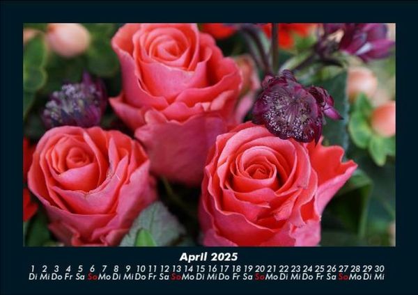Produktbild: Rosen-Kalender 2025 Fotokalender DIN A5