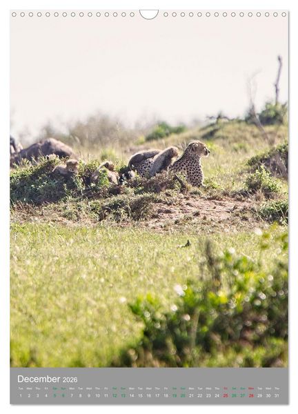Produktbild: Wildlife of the Masai Mara (Wall Calendar 2026 DIN A3 portrait), CALVENDO 12 Month Wall Calendar