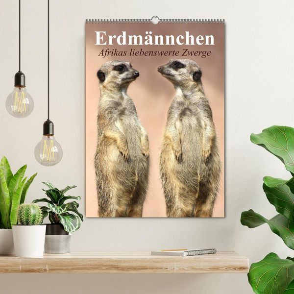 Produktbild: Erdm&auml;nnchen - Afrikas liebenswerte Zwerge (Wandkalender 2026 DIN A2 hoch), CALVENDO Monatskalender